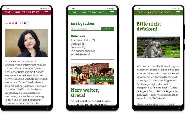 Screenshot Webdesign / Carin Müller / Smartphone
