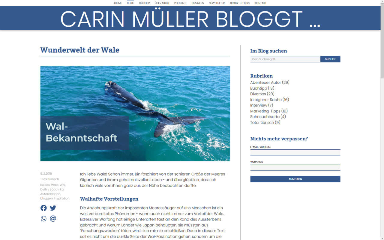 Carin Müller: Carin Müller / Website / Blog