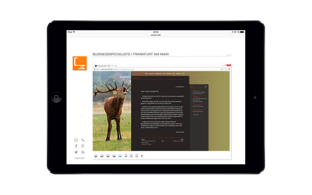 Screenshot iPad Air / Referenzseite (Originalansicht)