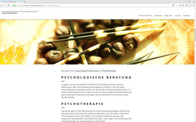 Screenshot Webdesign / Psychotherapeutische Praxisgemeinschaft / Beratung