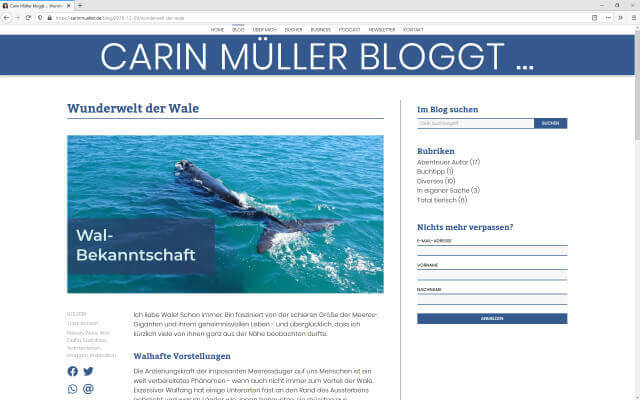 Screenshot Webdesign / Carin Müller / Blog-Eintrag