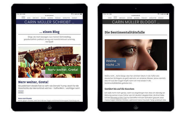 Screenshot Webdesign / Carin Müller / iPad Air